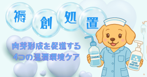 褥瘡処置方法と看護のポイント：肉芽形成を促進する4つの湿潤環境ケア